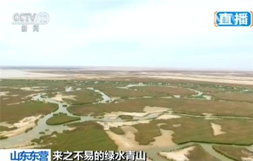 東營的黃河三角洲國家級自然保護(hù)區(qū)