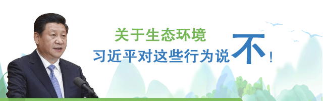 關于生態環境，習近平對這些行為說不！