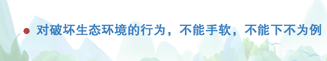 關于生態環境，習近平對這些行為說不！