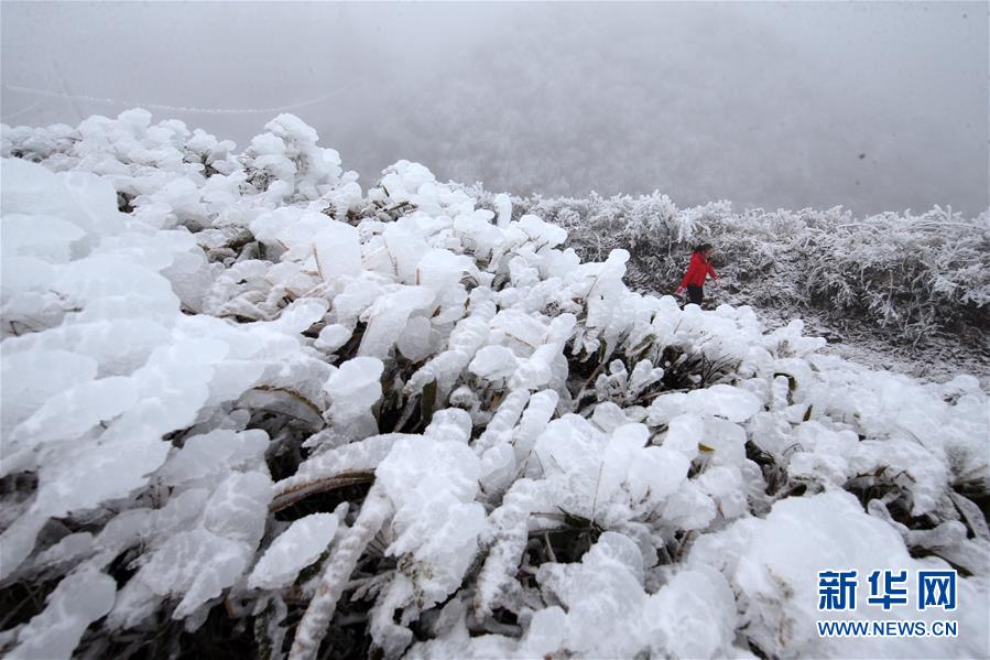 #（社會）（1）雪中行