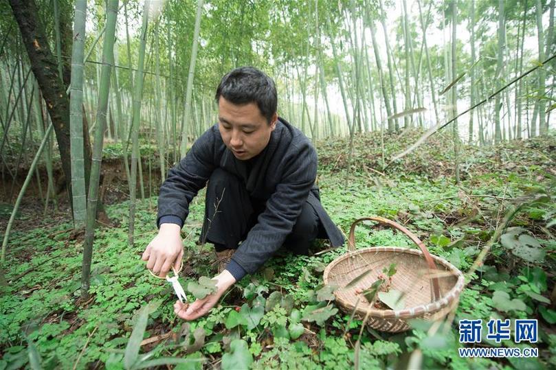 （圖片故事）（1）跟香打交道的男子