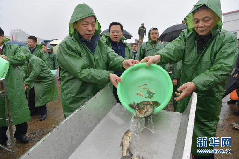 （環境）（1）春季禁漁 增殖放流