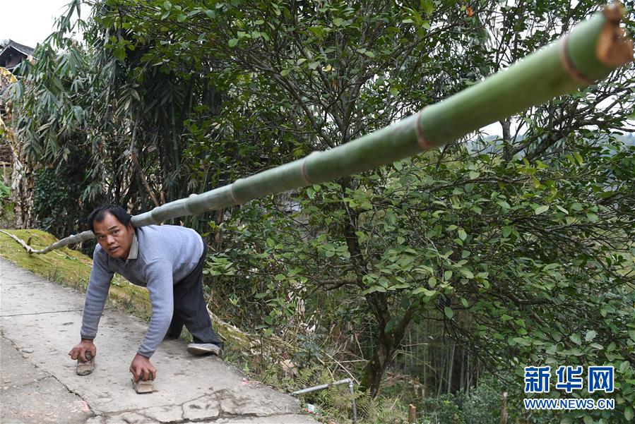 （圖片故事）（1）用雙手“走”出的脫貧路