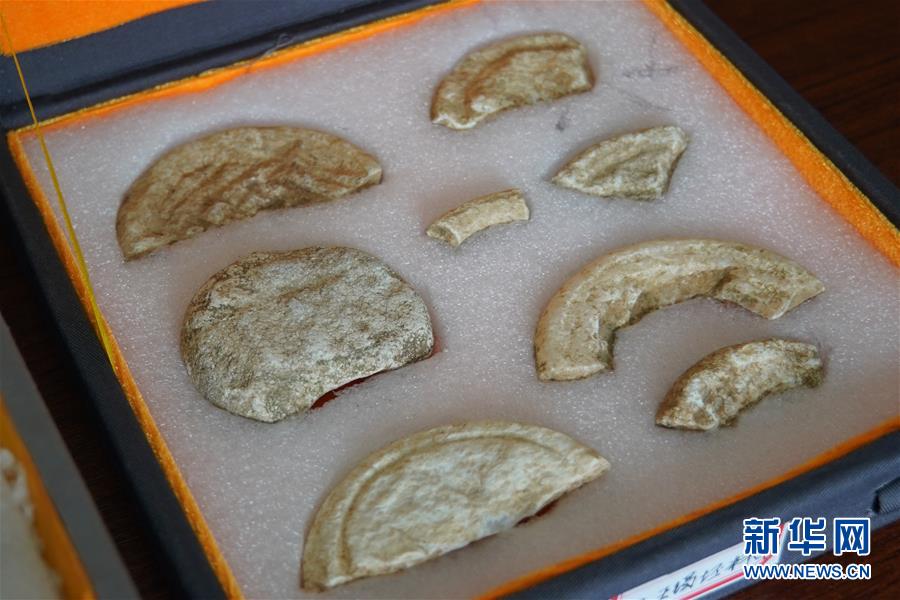 （圖文互動）（1）河南南陽發現5000年前玉石器制作中心聚落和疑似氏族首領墓葬