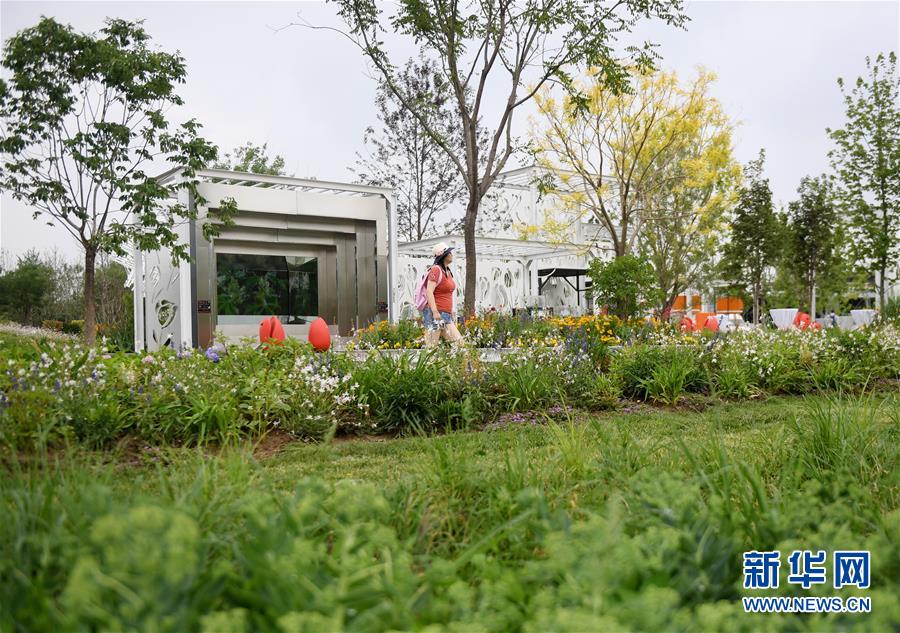 （北京世園會）（4）北京世園會迎來“荷蘭國家日”