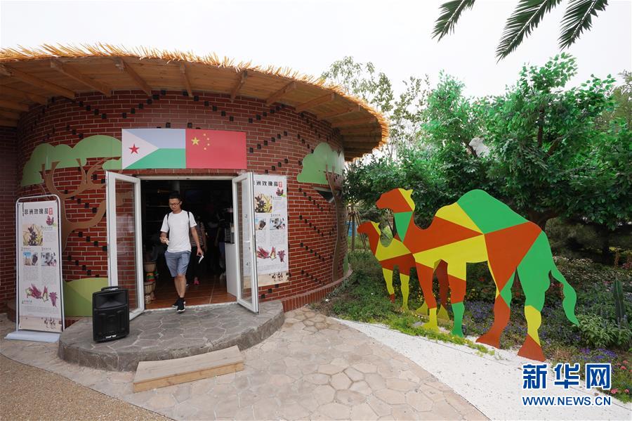 （北京世園會）（7）北京世園會迎來“吉布提國家日”