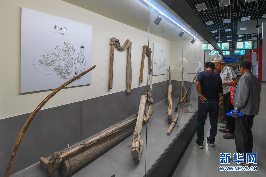 （社會）（1）長春：逛農博會領略關東農耕文化