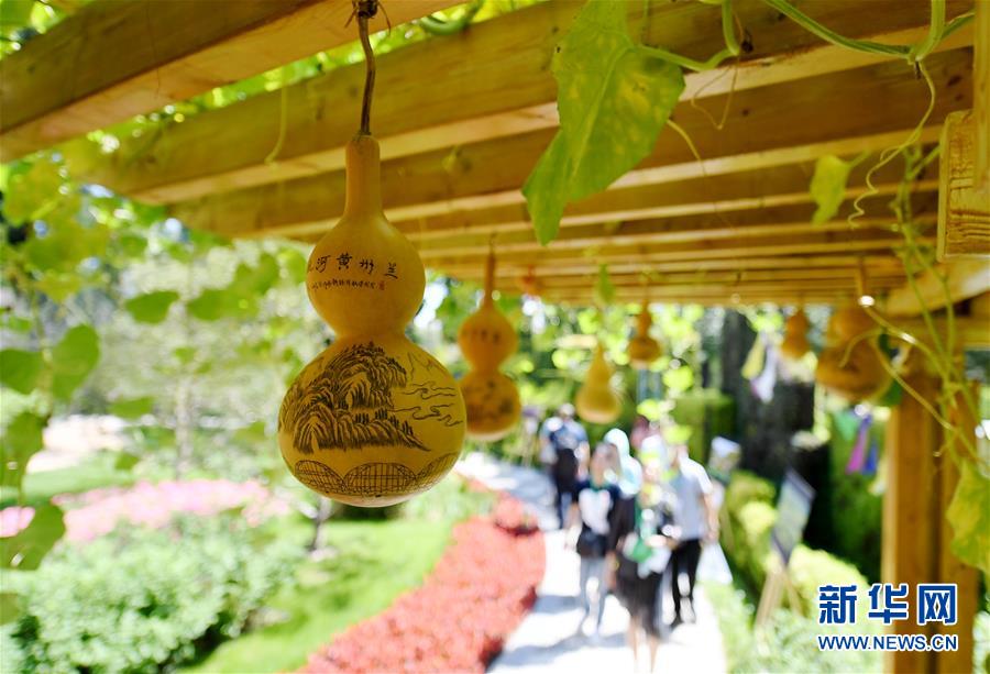（北京世園會）（4）北京世園會迎來“甘肅日”