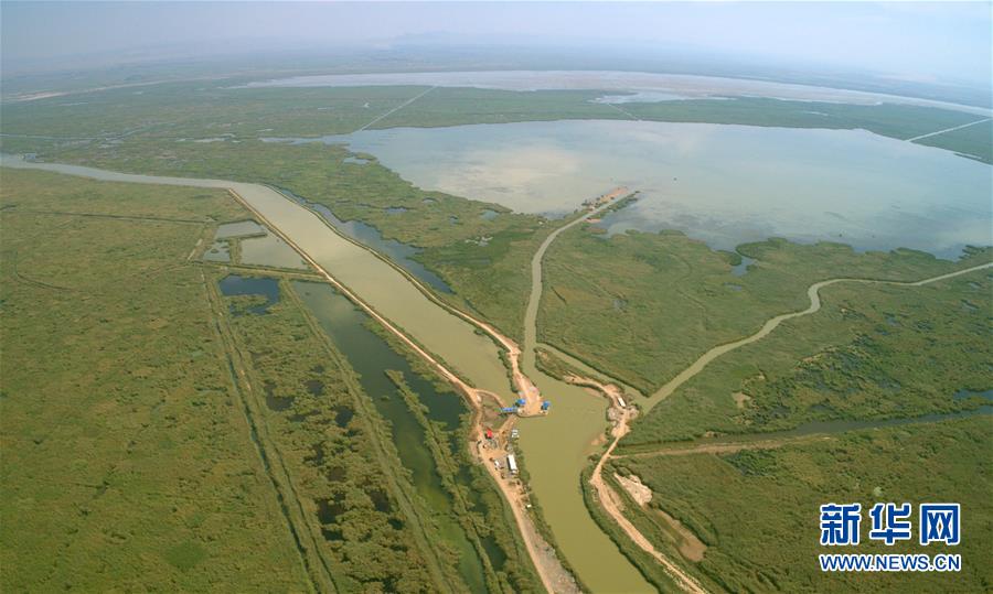 （走讀黃河·圖文互動）（6）黃河生態(tài)補水“救助”烏梁素?！獮趿核睾Ｉ鷳B(tài)治理見聞