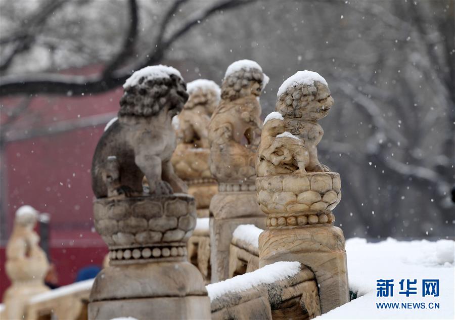 （社會(huì)）（10）京城雪趣