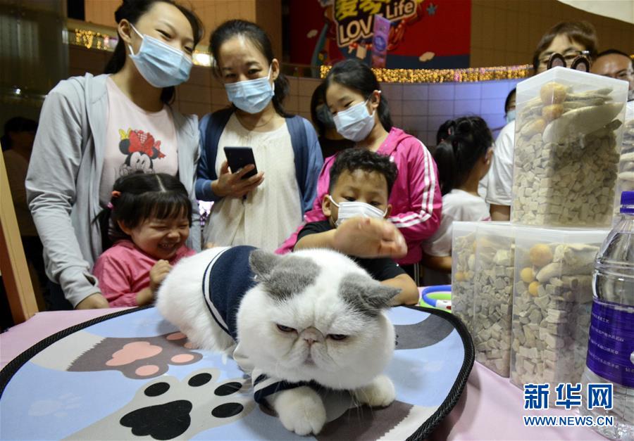 (社會)(2)歡樂的京南夜市