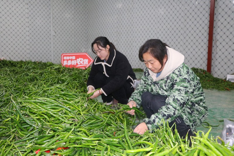 圖片9.jpg