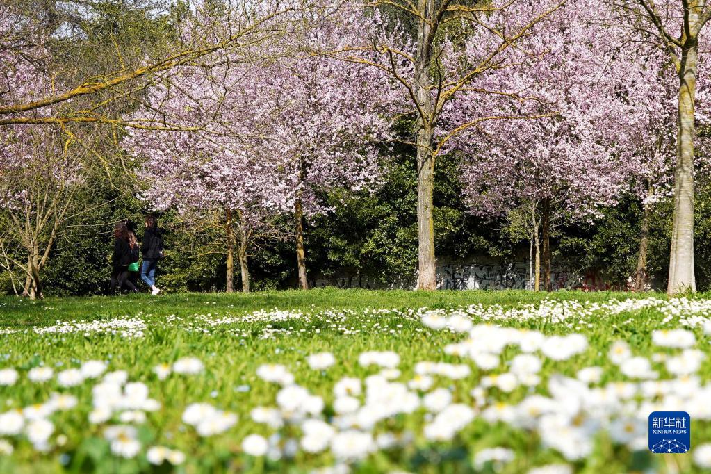 29602affb8e05fe89a53fc71b8628569_1129443978_16791937262191n.jpg 29602affb8e05fe89a53fc71b8628569_1129443978_16791937262191n.jpg