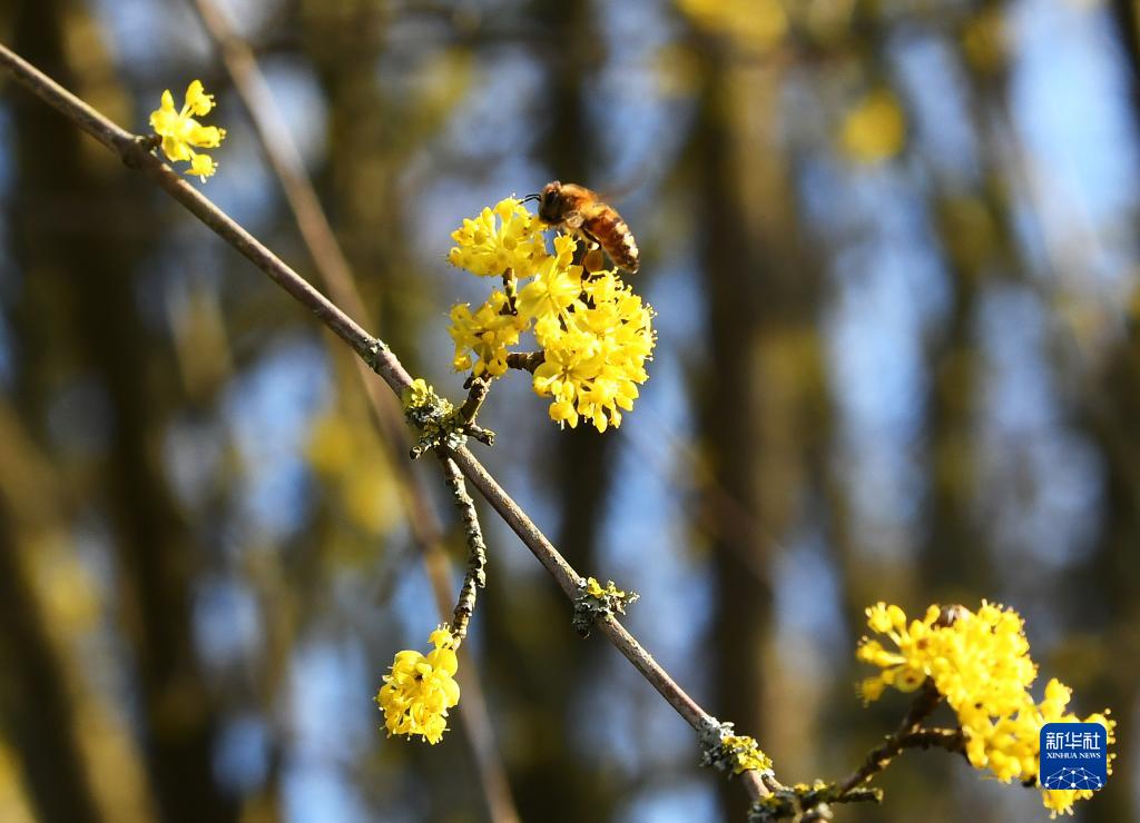 ac2b348108805e4df653964bfea447d2_1129443978_16791937261421n.jpg ac2b348108805e4df653964bfea447d2_1129443978_16791937261421n.jpg