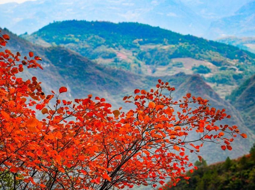 重慶巫山：初冬美景引客來