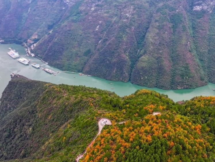 重慶巫山:初冬美景引客來