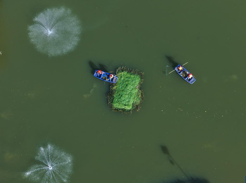 浙江長興：全域治水扮靚美麗鄉村