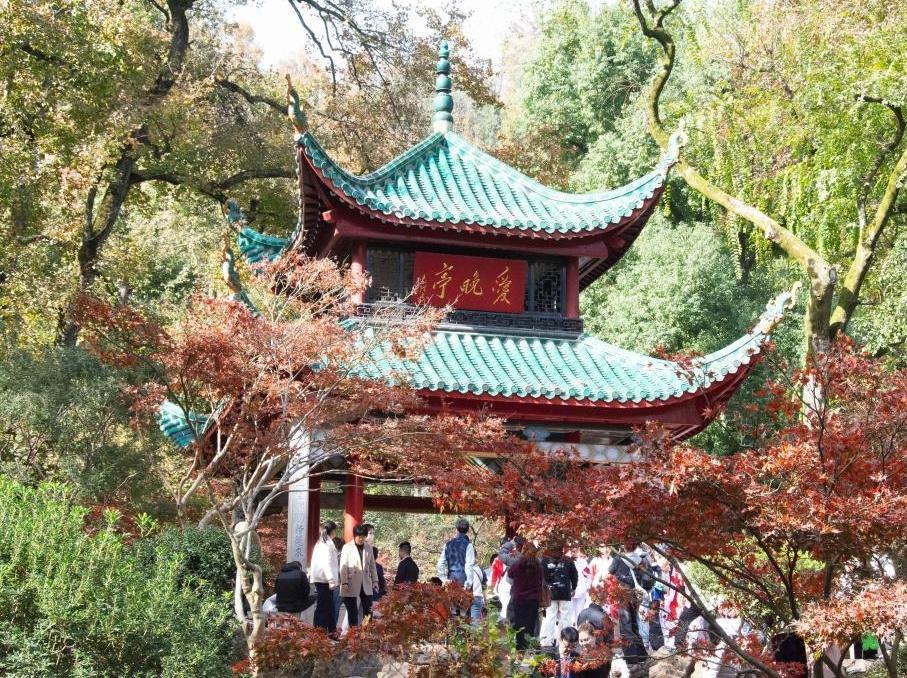 楓葉扮靚愛晚亭