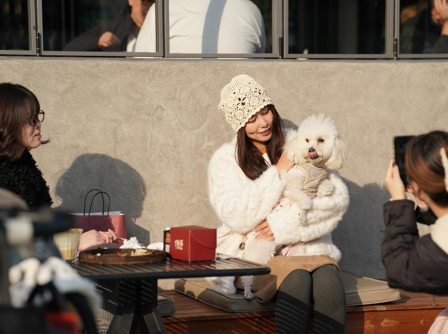 西安：老城“新社區”激發文化消費活力