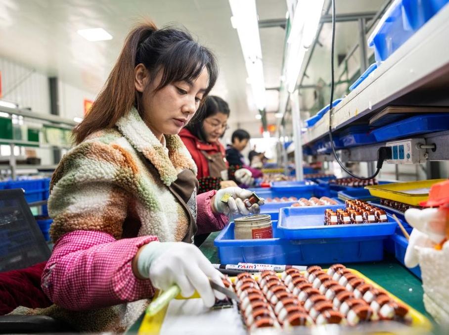 湖南桃源:建好鄉村車間 激活振興引擎