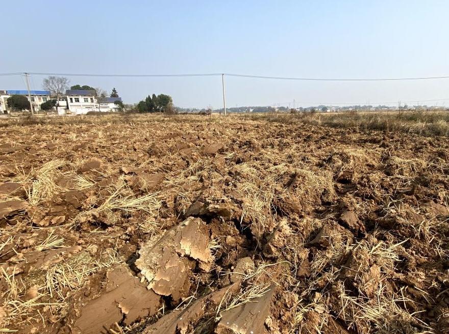 四中全會精神在基層丨湖南瀏陽：一畝耕地的“生長”