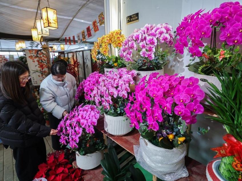 浙江紹興：年宵花卉迎新年