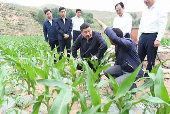 習近平：請鄉親們同黨中央一起 擼起袖子加油干