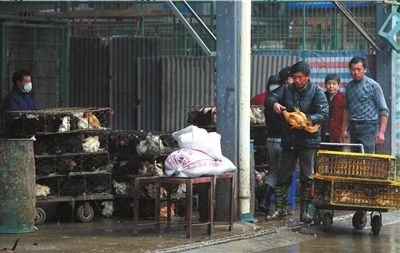 上海6日起暫停活禽交易，關閉所有活禽交易市場。新華社發