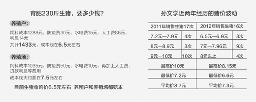 節前走高節后“跳水”豬價