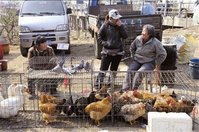 上海4歲感染H7N9禽流感男童康復
