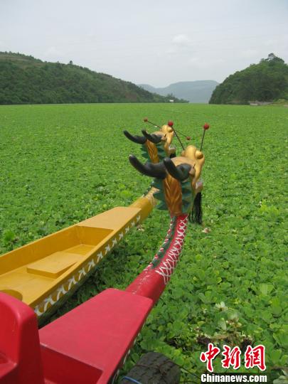 廣西龍江河水生植物大面積爆發(fā)環(huán)保局:水質(zhì)達(dá)標(biāo)