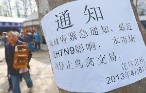 新型禽流感檢測取得突破病毒關鍵合成基因送京