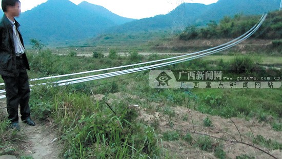七旬老婦被高壓線砸身亡肇事公司稱是被嚇死的