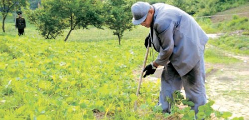 美擔憂在朝服刑美國人身體狀況吁平壤盡快放人