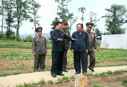朝鮮人民軍總政治局長崔龍海考察丘陵開墾情況