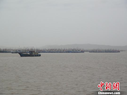 浙江舟山海島嚴防“蘇力”上千艘漁船回港避風