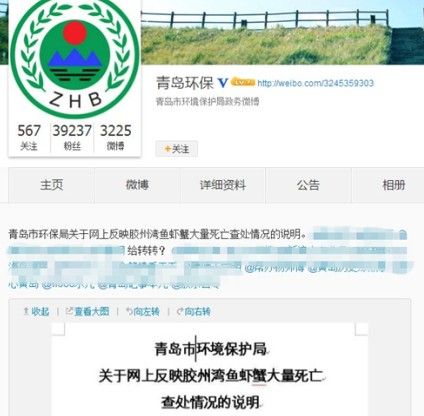 青島膠州灣魚蝦死亡 環保局調查：非原油污染造成