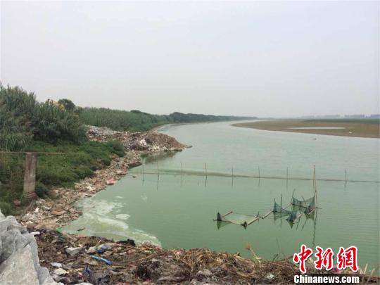 浙江余姚海涂現七彩油污續：實為廢棄水庫藍藻爆發