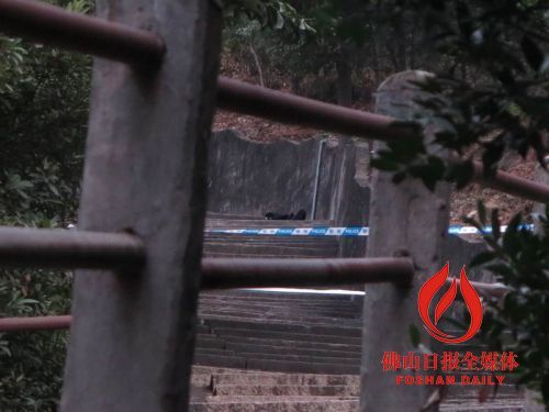 事發(fā)現(xiàn)場。/佛山日報記者張少鵬 攝