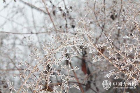 南方氣溫回升雪轉雨 河北河南霾加重
