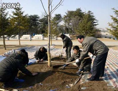 朝鮮植樹節(jié)進(jìn)行園林綠化工作共種植480萬棵樹