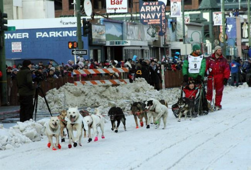 盲犬也能拉雪橇：失明狗助主人參賽順利抵終點
