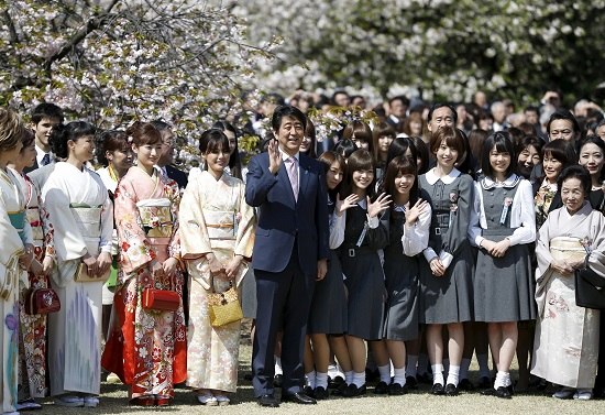 安倍舉辦賞櫻會盼日本經濟“春暖花開”（圖）