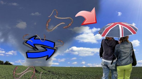 挪威多地突降“蚯蚓雨”數千蚯蚓從天而降（圖）