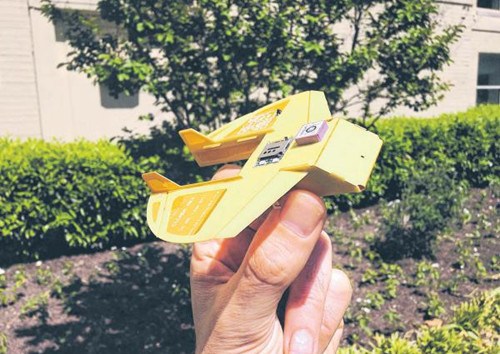 美國打造手掌大小迷你無人機靈感源自蟬（圖）