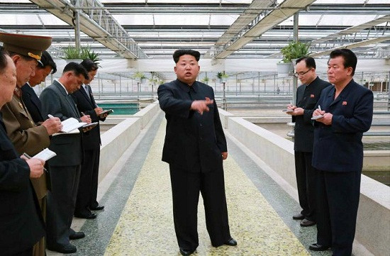 金正恩視察甲魚養殖廠罕見動怒提批評稱讓人寒心