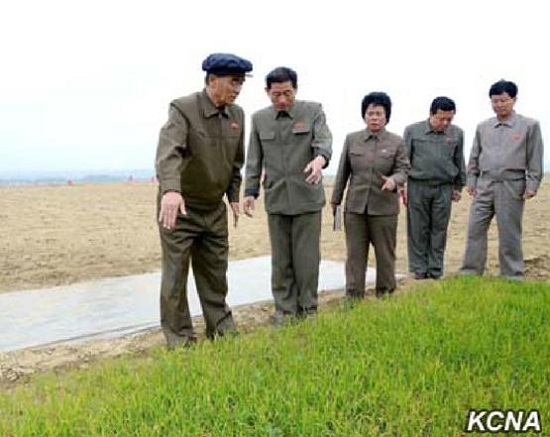 朝鮮總理考察插秧稱天氣干旱應(yīng)解決灌溉問(wèn)題