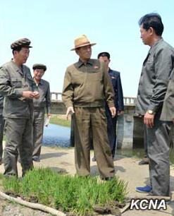 朝鮮總理考察農場要求以先進技術完成水稻插秧
