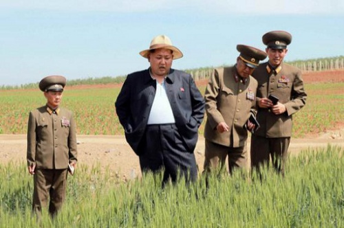金正恩視察了朝鮮人民軍綜合研究農場。（來源：朝鮮《勞動新聞》）