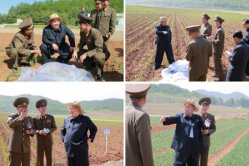 金正恩視察了朝鮮人民軍綜合研究農(nóng)場(chǎng)。（來(lái)源：朝鮮《勞動(dòng)新聞》）